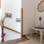 Peruski 卡尼卡